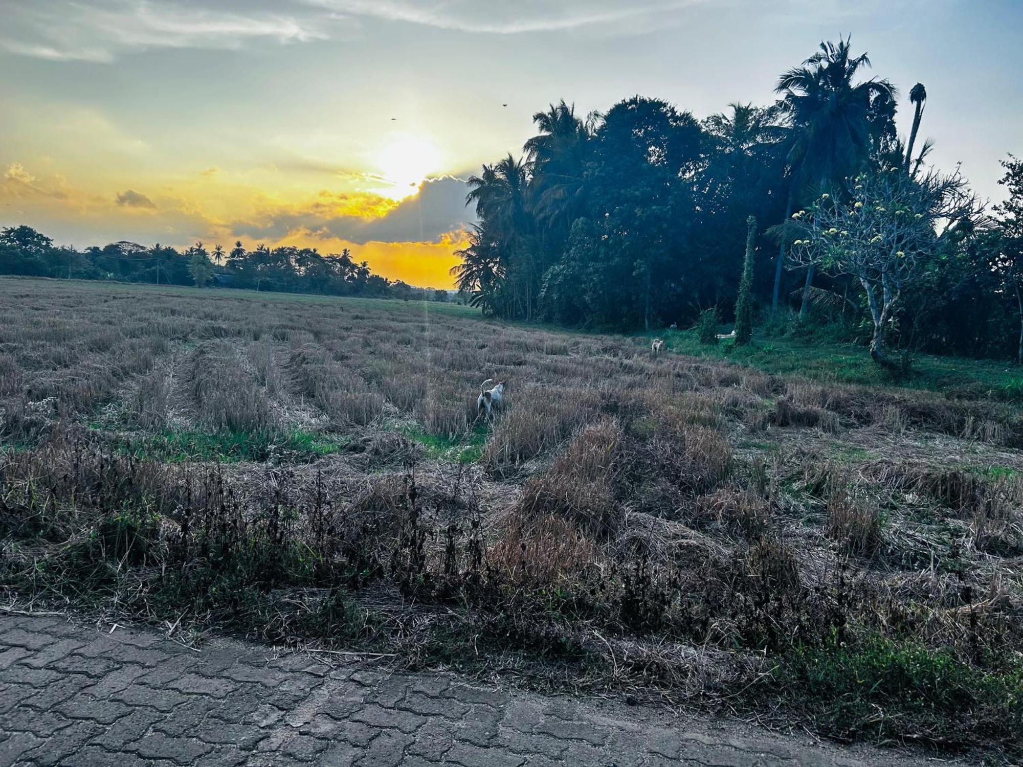 Windy Villa Polonnaruwa Exterior photo